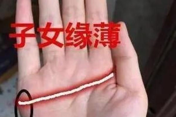 女性假断掌手相的深层含义与运势分析