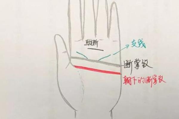 女性假断掌手相的深层含义与运势分析
