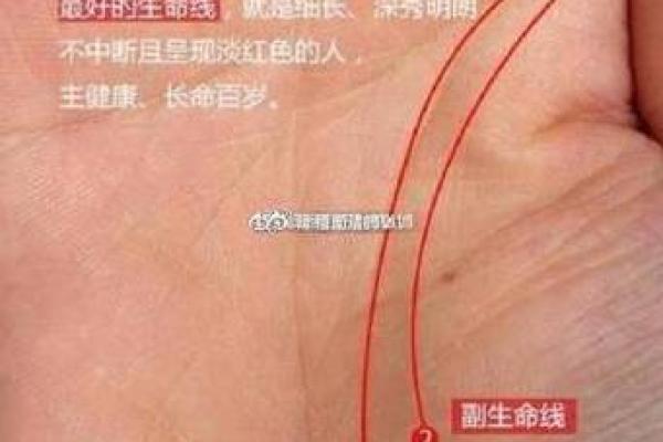 女人看手相应该看哪只手才能准确预测未来