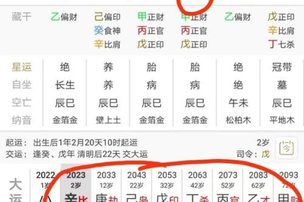 明星八字揭秘：如何从命理看明星的成功与挑战