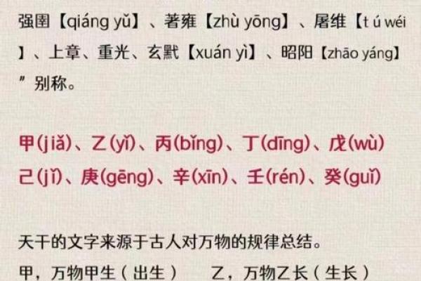 天干乙在命理中的独特影响与作用