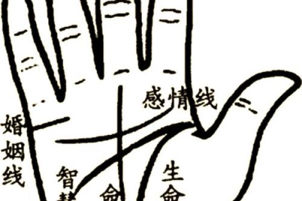 深度解析当官人的手相，了解权力的秘密