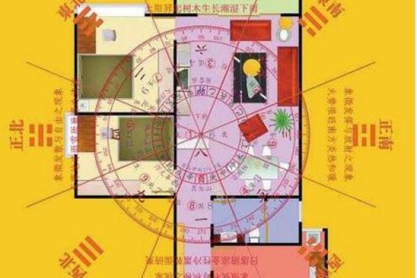 丈夫家里财位风水布局的关键要点与注意事项