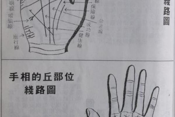 如何从手相识别大富贵：财富与成功的预示
