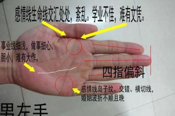 如何通过手相解析命运：看手相必知的基本方法