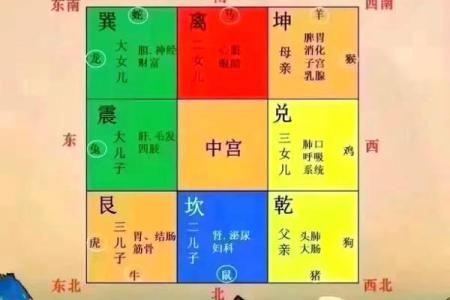 偏房命的含义与命理解析：如何影响个人运势