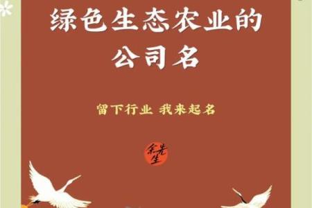 农业公司起名创意大全，助力品牌脱颖而出