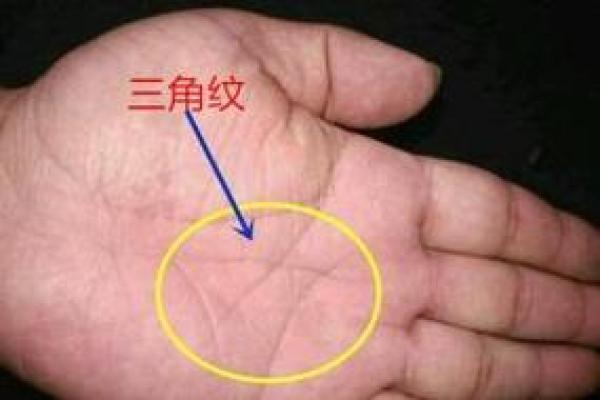 三角令旗纹手相解析：揭示命运中的关键特征与影响