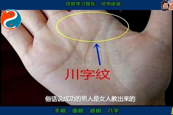 如何通过乱纹手相了解个性与命运走向
