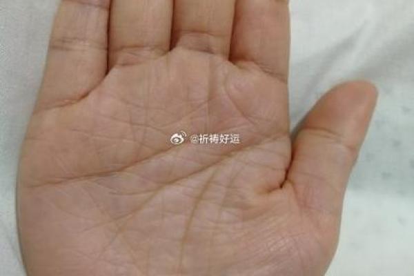 如何通过手相土丘判断个性与运势