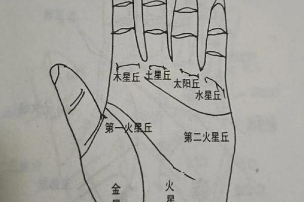 如何通过手相土丘判断个性与运势