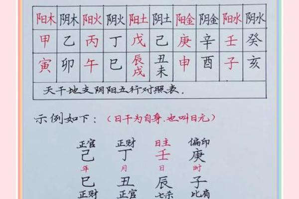 辛亥之年：探索天干辛与地支亥的命理奥秘