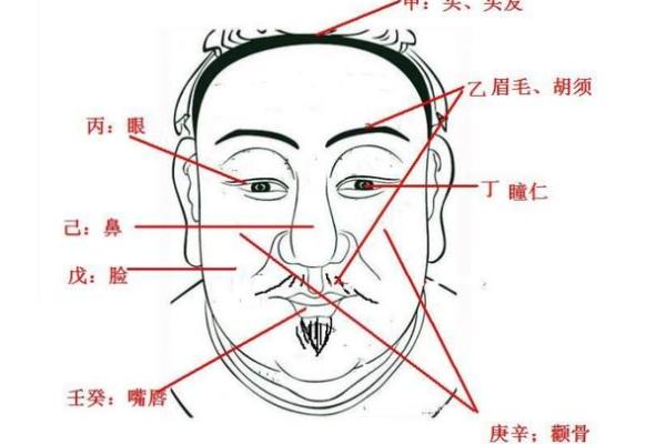 如何通过天干乙来破解命理中的困惑