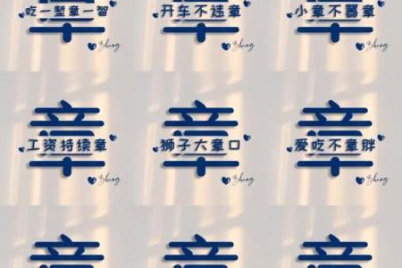 给章姓男宝宝起名字时要避开的误区与建议