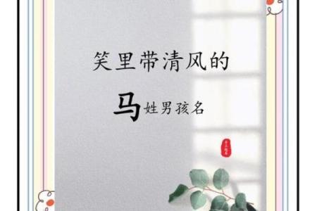 给姓马的宝宝起名字的五个实用建议