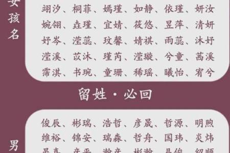 今天的宝宝名字选择指南：从传统到现代
