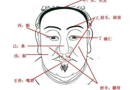 如何通过天干乙来破解命理中的困惑