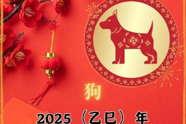 生肖狗的天干配合与命运走向