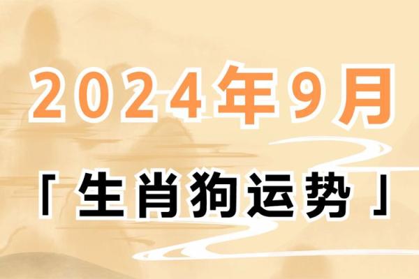 狗年宝宝起名建议，助力未来事业与健康