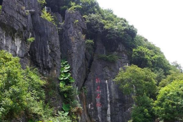 如何为景观公司选择一个独特且有吸引力的名字