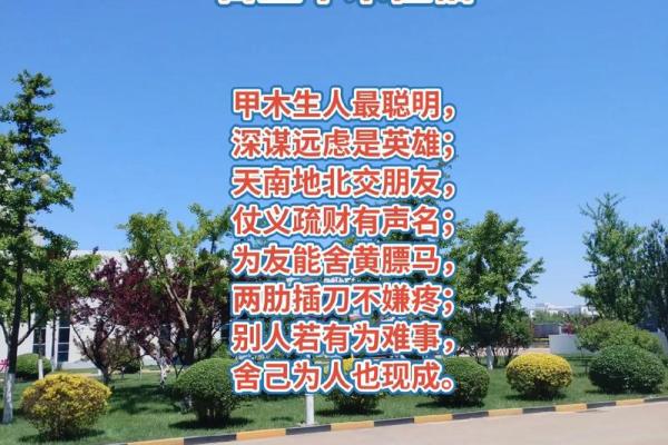 了解明天干支日的含义，提升生活智慧