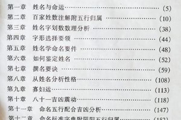 探秘上海起名公司：名字背后的文化与命运学