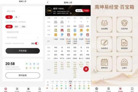 如何正确下载和解析八字命盘数据