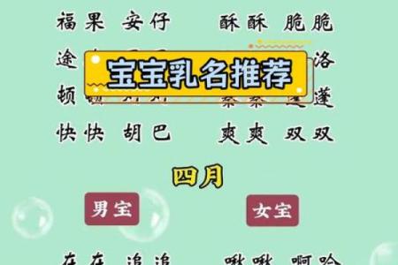 鸡年宝宝名字大全：为孩子挑选独特又吉利的名字