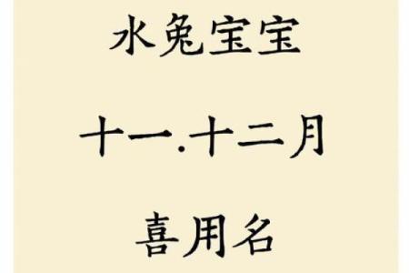 给属兔宝宝取名字的五个创意建议与注意事项