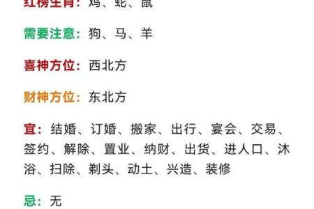 鸡年宝宝名字选择：吉祥与独特并重的秘诀