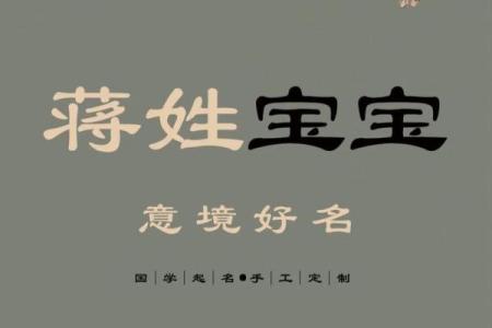 蒋姓宝宝起名指南：精选寓意深远的名字推荐