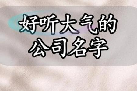 如何为大气公司取一个既专业又有创意的名字