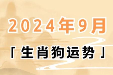 狗年宝宝起名建议，助力未来事业与健康