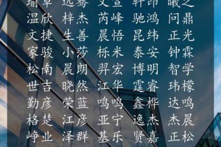 探秘上海起名公司：名字背后的文化与命运学