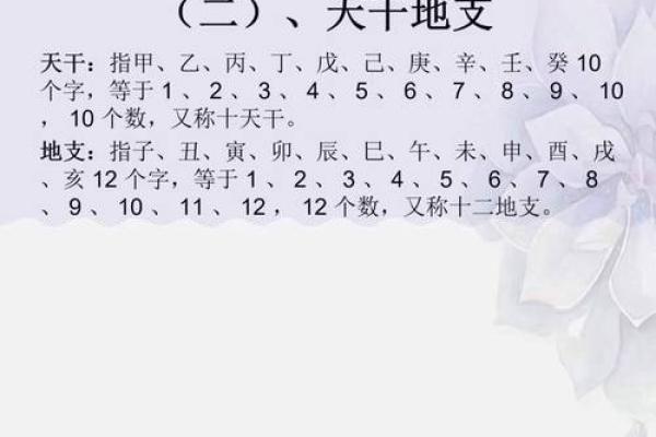 天干地支与晨字的深层联系解析