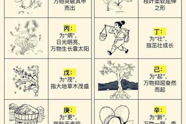 天干地支与晨字的深层联系解析