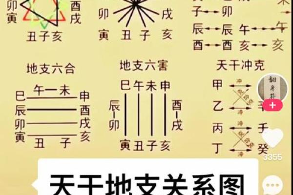 天干壬的特点与应用解析
