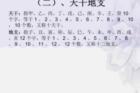 天干地支与晨字的深层联系解析