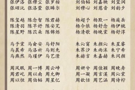 源字起名公司：传承文化与创新思维的完美结合