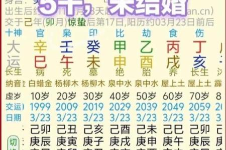 天干中的杀食财揭秘：如何影响命理运势与财富积累