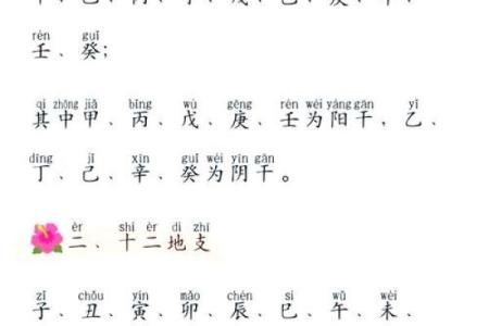 日主天干辰的命理解析与运势影响
