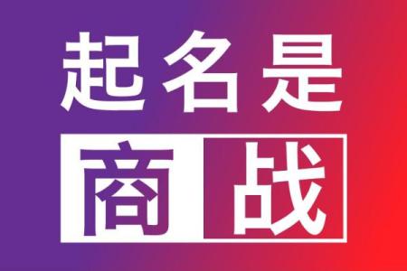 公司起名查名全攻略：如何避免重名与商标侵权风险