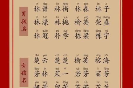 泰起名公司：传承经典，赋予名字更多意义
