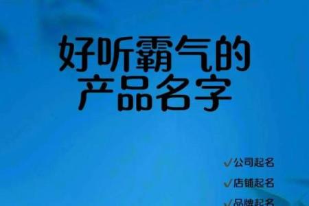 让公司名脱颖而出，塑造品牌个性