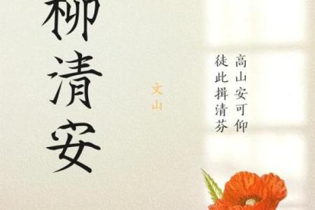 古诗韵味与现代创意结合的公司命名灵感探索