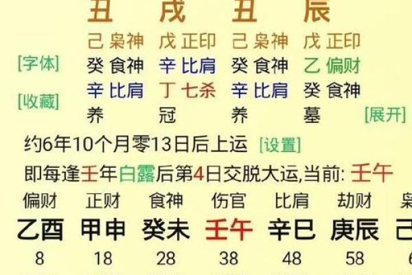 天干大运在命理中的重要性与影响解析