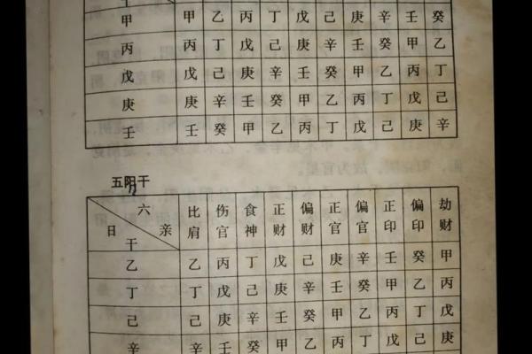 天干与已地支的关系及其在命理中的应用解析