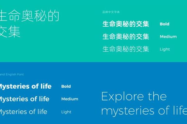 医疗器械公司命名技巧与创意建议