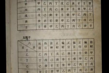 天干与已地支的关系及其在命理中的应用解析