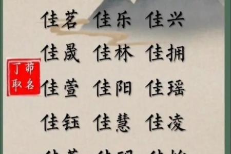闽字在公司起名中的文化寓意与创意应用分析